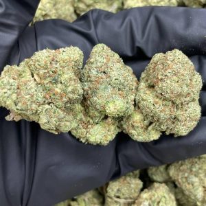weed for sale, buy weed online, weed strain for sale, buy weed australia, buy weed uk, buy cannabis norway, buy weed online now, buy weed online bitcoin, cannabis for sale, cannabis strain for sale, best weed strains, buy weed online uk