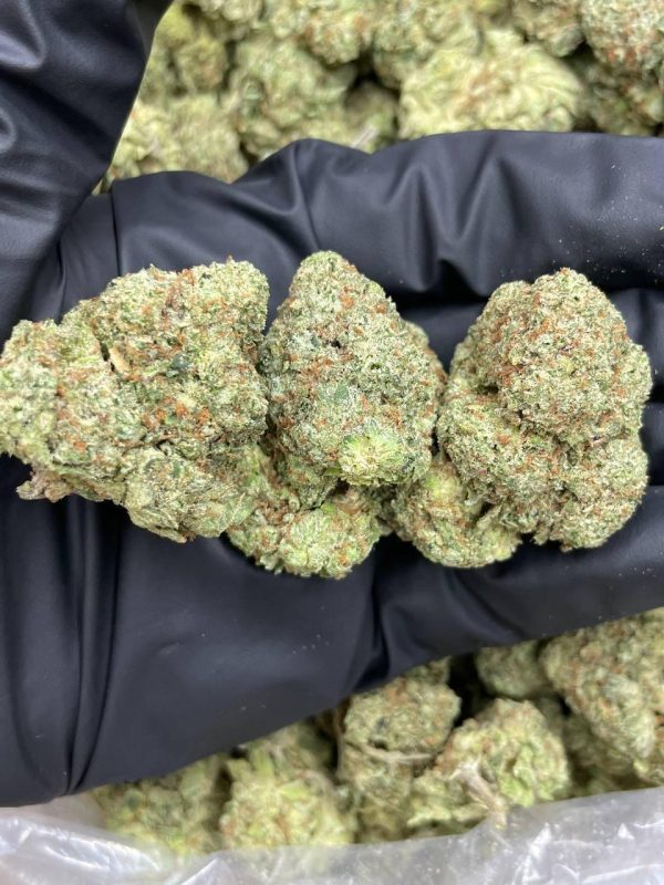 weed for sale, buy weed online, weed strain for sale, buy weed australia, buy weed uk, buy cannabis norway, buy weed online now, buy weed online bitcoin, cannabis for sale, cannabis strain for sale, best weed strains, buy weed online uk