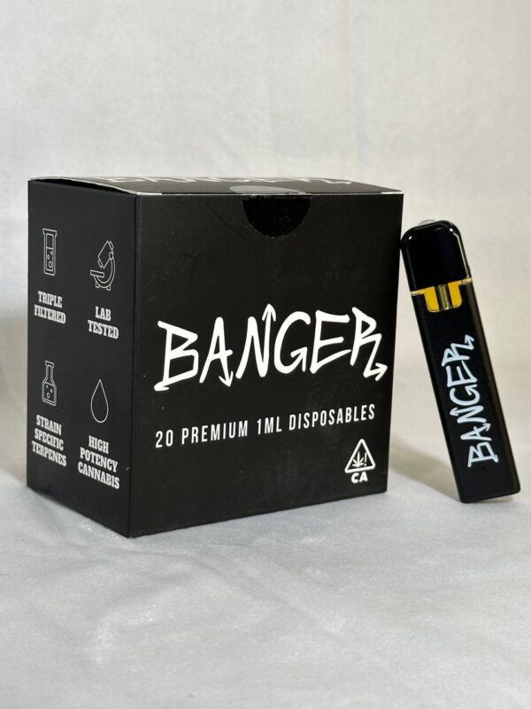 banger disposable, banger disposable vape, banger disposable real or fake, banger 1g dispsoable, banger disposable 1g, banger disposable vape