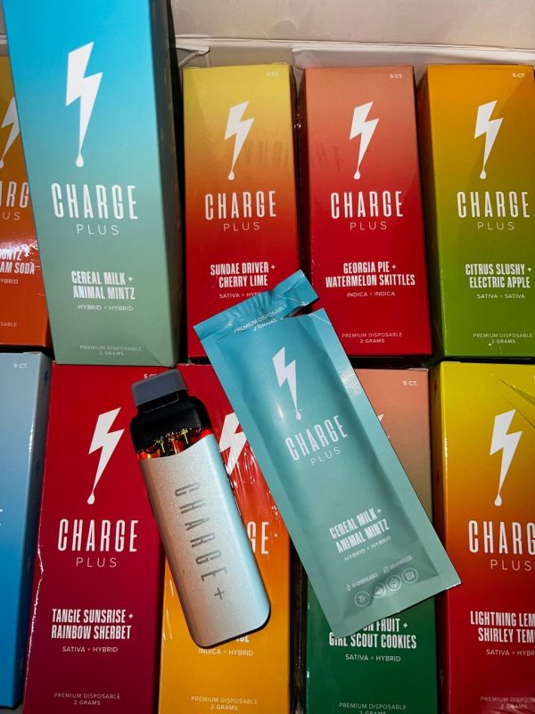 charge plus disposable, charge plus 2g disposable, charge plus disposable vape, charge plus disposable real or fake, charge plus vape